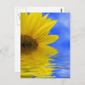 ひまわり ポストカード (正面/裏面)