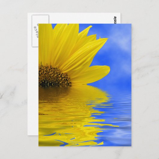 ひまわり ポストカード (正面/裏面)