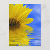 ひまわり ポストカード (正面)