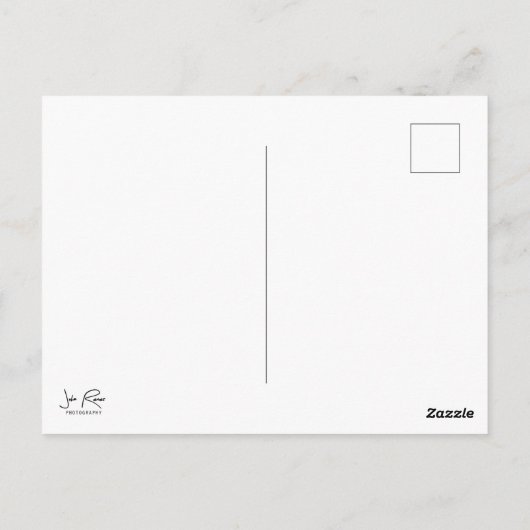 ひまわり ポストカード (裏面)