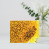 ひまわり – マクロ ポストカード (スタンド正面)