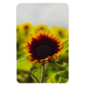ひまわり マグネット (縦)