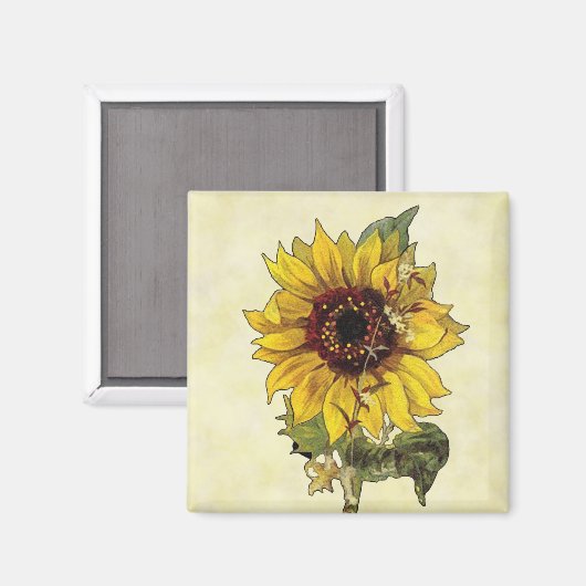 ひまわり マグネット (正面/裏面)