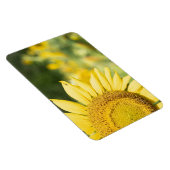 ひまわり マグネット (右側)