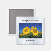 ひまわり マグネット (正面/裏面)