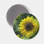 ひまわり マグネット (正面/裏面)