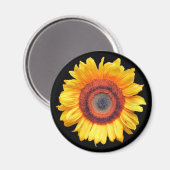 ひまわり マグネット (正面/裏面)