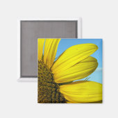 ひまわり マグネット (正面/裏面)