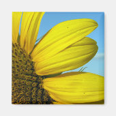 ひまわり マグネット (正面)