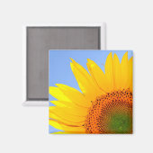 ひまわり マグネット (正面/裏面)