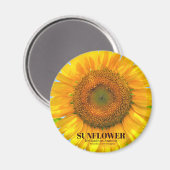 ひまわり マグネット (正面/裏面)