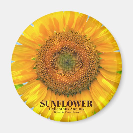 ひまわり マグネット (正面)