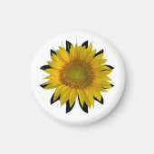 ひまわり マグネット (正面)