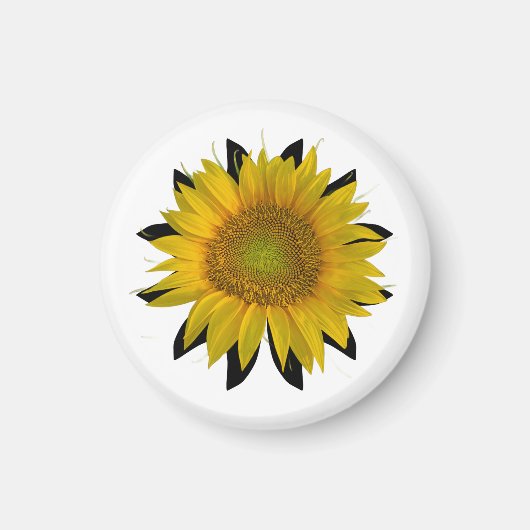 ひまわり マグネット (正面)