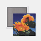 ひまわり マグネット (正面/裏面)