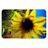 ひまわり マグネット (横)