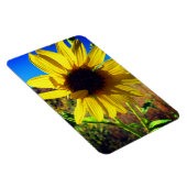 ひまわり マグネット (右側)