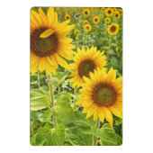 「ひまわり」ミニクリップボード ミニクリップボード (裏面)