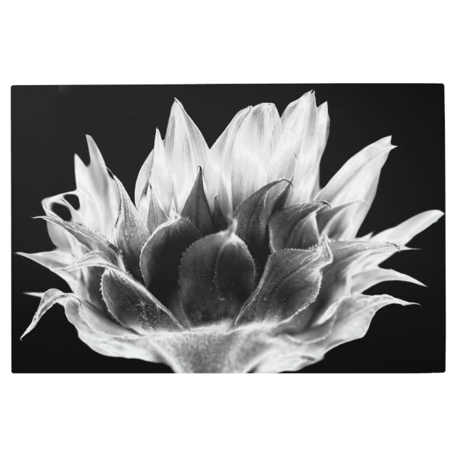 ひまわり メタルプリント (正面)