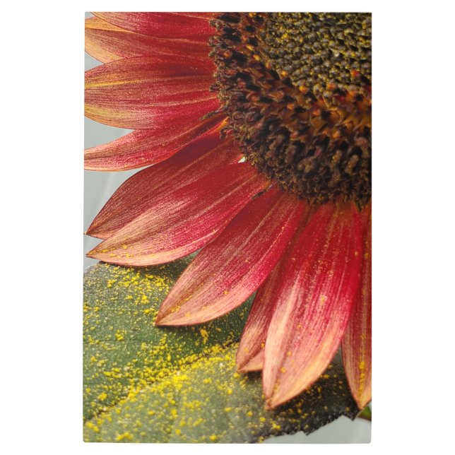 ひまわり メタルプリント (正面)