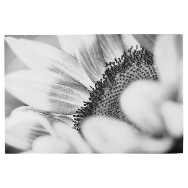 ひまわり メタルプリント (正面)