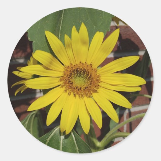 ひまわり ラウンドシール (正面)