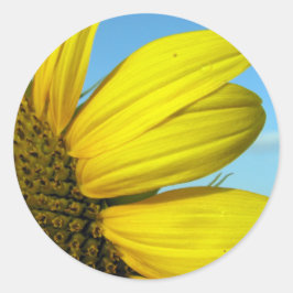 ひまわり ラウンドシール