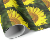 ひまわり ラッピングペーパー (ロールコーナー)