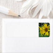 ひまわり ラベル (インサイチュ)