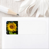 ひまわり ラベル (インサイチュ)