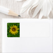 ひまわり ラベル (インサイチュ)