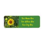 ひまわり ラベル (正面)