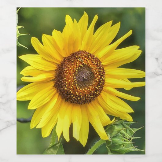 ひまわり ワインラベル (シングルラベル)