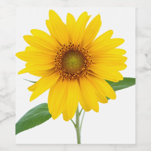 ひまわり ワインラベル (シングルラベル)