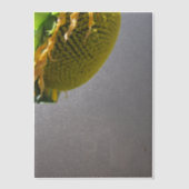 ひまわり ヴェラムオーバーレイ ベラム紙招待状 (正面)