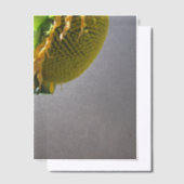 ひまわり ヴェラムオーバーレイ ベラム紙招待状 (オフセット)