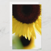 ひまわり 便箋 (正面/裏面)