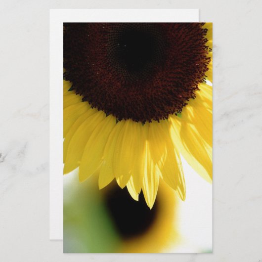 ひまわり 便箋 (正面/裏面)