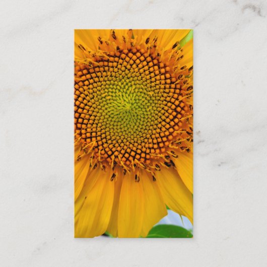 ひまわり 名刺 (正面)