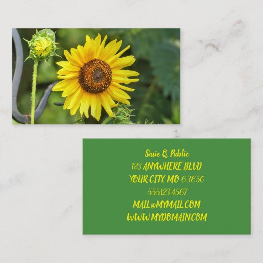 ひまわり 名刺 (正面/裏面)