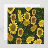 ひまわり 招待状 (正面/裏面)