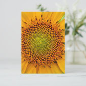 ひまわり 招待状 (スタンド正面)