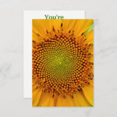 ひまわり 招待状 (正面/裏面)