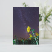 ひまわり 招待状 (スタンド正面)