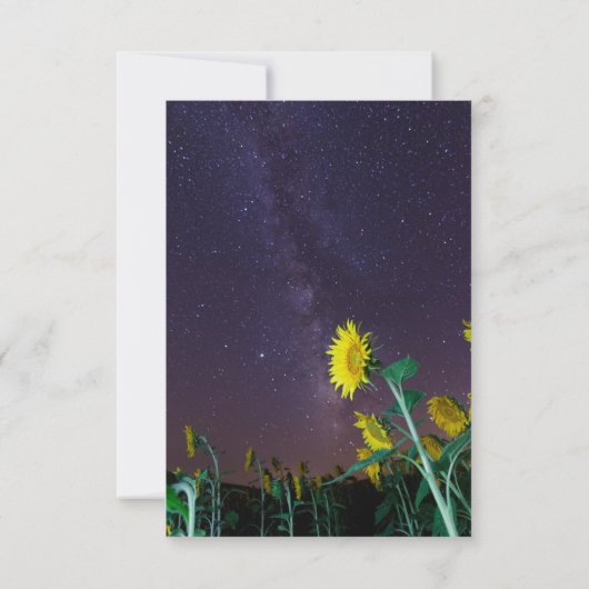 ひまわり 招待状 (裏面)