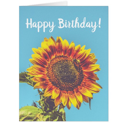 ひまわり&（昆虫）マルハナバチカスタムビッグ誕生日 (正面)