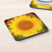 "ひまわり" 硬質プラスチックコースター コースター (左側)