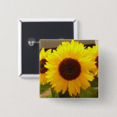 ひまわり 缶バッジ (正面&裏面)