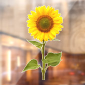 ひまわり 花 ウィンドウ クリング ウィンドウサイン (シート2)