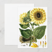 ひまわり 花 ボタニカル ブランク パーティー ご招待 招待状 (正面/裏面)